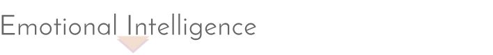 emotional intelligence