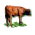 cattle-1.gif