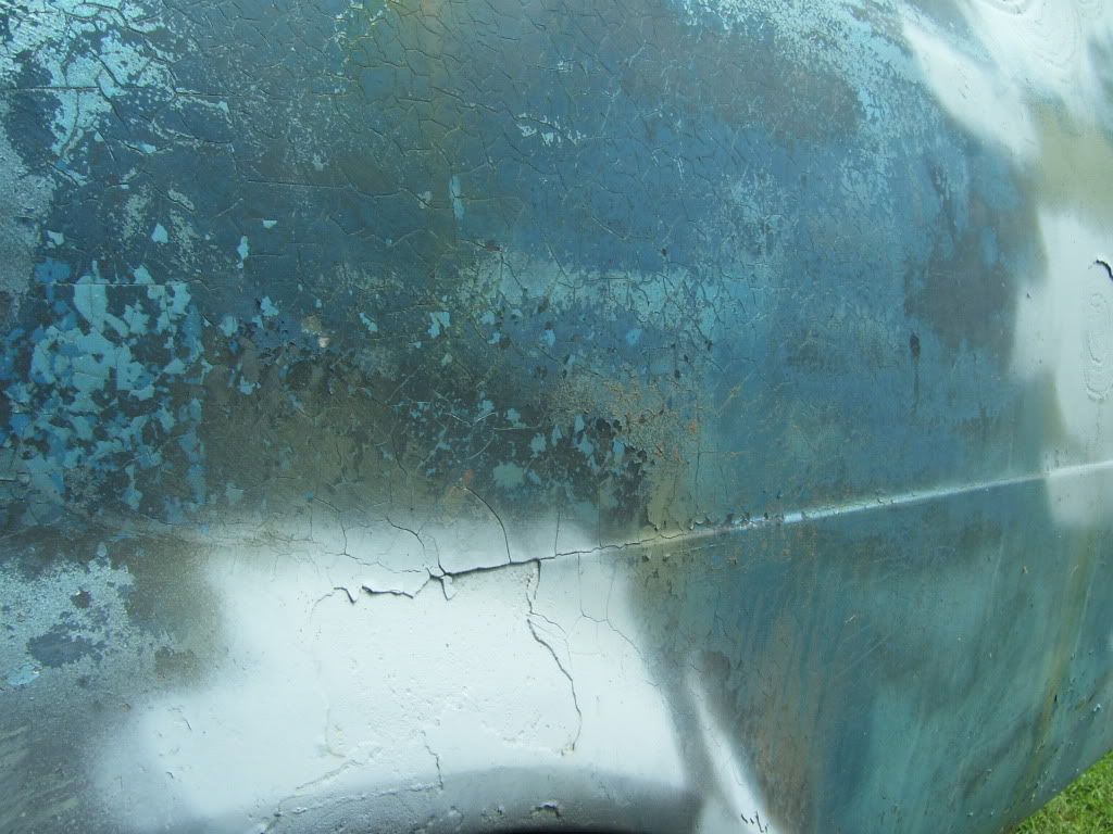 100_7384.jpg