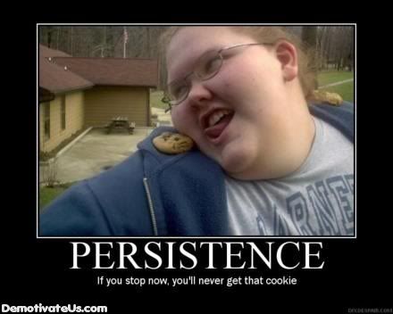 fat-people-persistence-cookie-demot.jpg