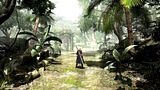 th_DMC43.jpg