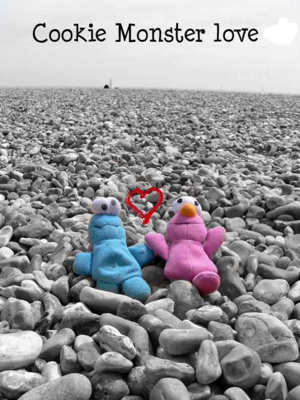 brighton-cookies-on-beach.jpg Cookie Monster Love image by RawrAndStuffx3