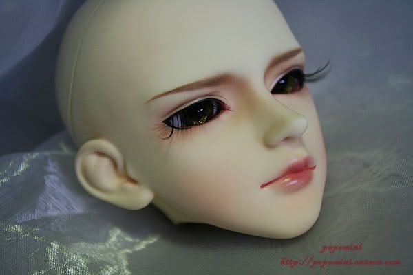 Ys B type (crobidoll