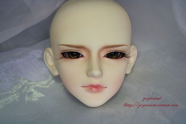 Ys B type (crobidoll