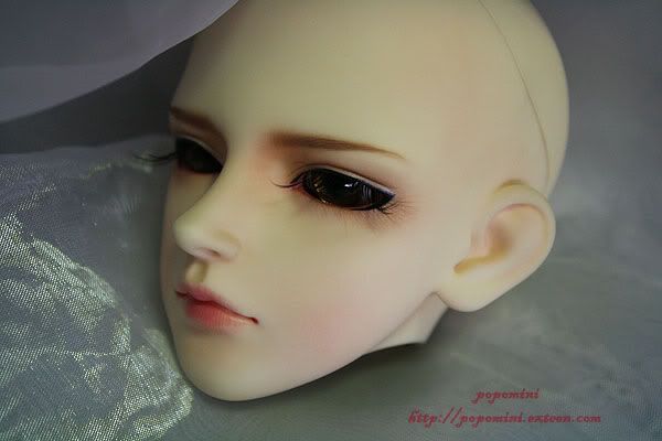 Ys B type (crobidoll