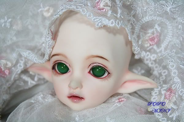 fionet