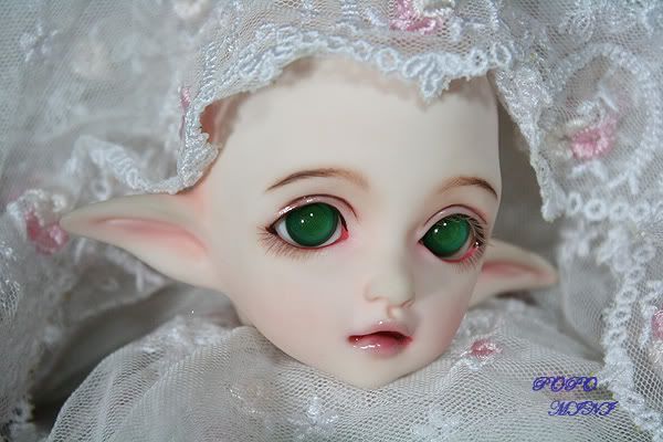 fionet