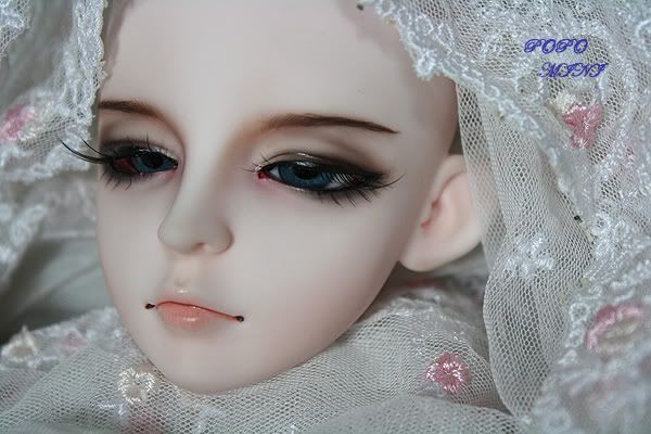 ducan