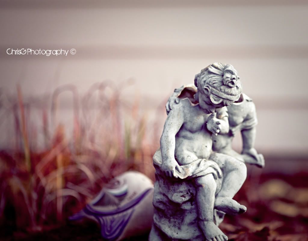 IMAGE: http://i578.photobucket.com/albums/ss222/goddardca/IMG_2266.jpg