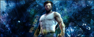 wolverine.png