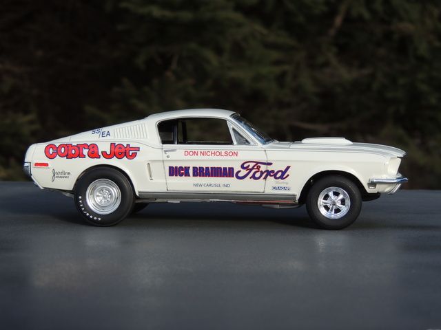 Don%20Nicholson%20Mustang%20066_zpsilpik