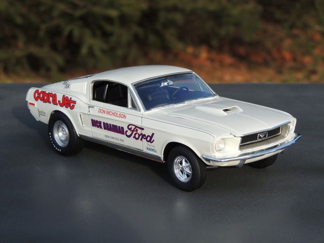 Don%20Nicholson%20Mustang%20068_zps1hiqv