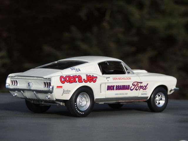 Don%20Nicholson%20Mustang%20076_zpsnjyzm