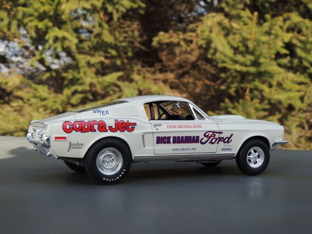 Don%20Nicholson%20Mustang%20095_zpsjxnep