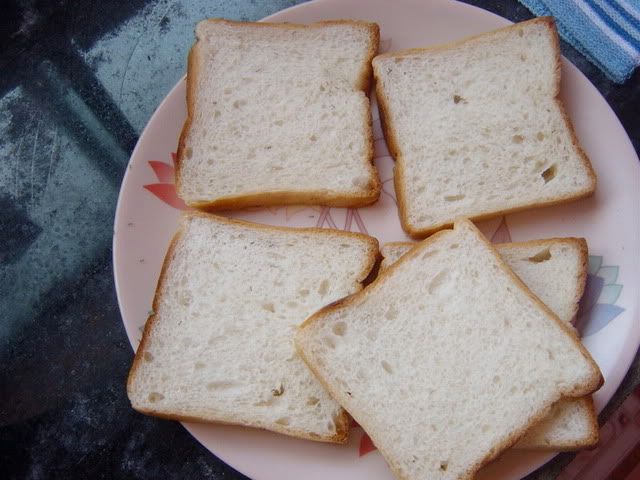 formigas