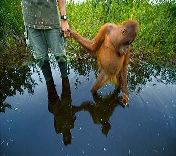 Photo by National Geographic