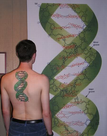 DNA Tattoo. Posted by Carrie on August 21, 2009; This entry is filed under 