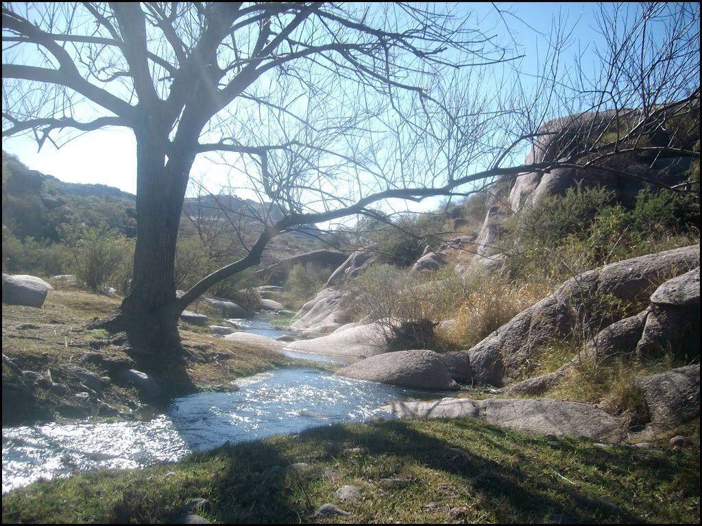 el zapato el zapato