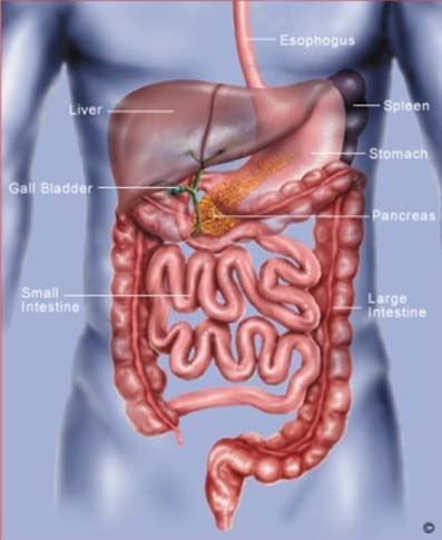 celiac disease biopsy