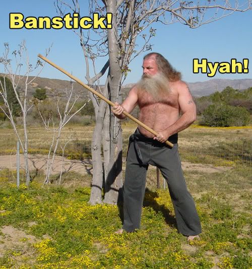 banstick-1.jpg