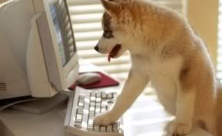 dog-and-computer-1.jpg