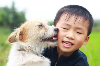 Pet Safety and Your Preschooler