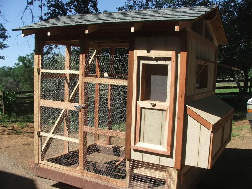 Pin Building Chicken Coops And Runs – Why You Should Use Diy on 