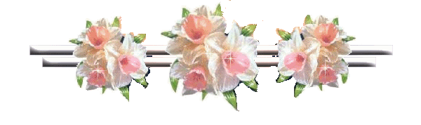 Image Source,Photobucket Uploader Firefox Extension