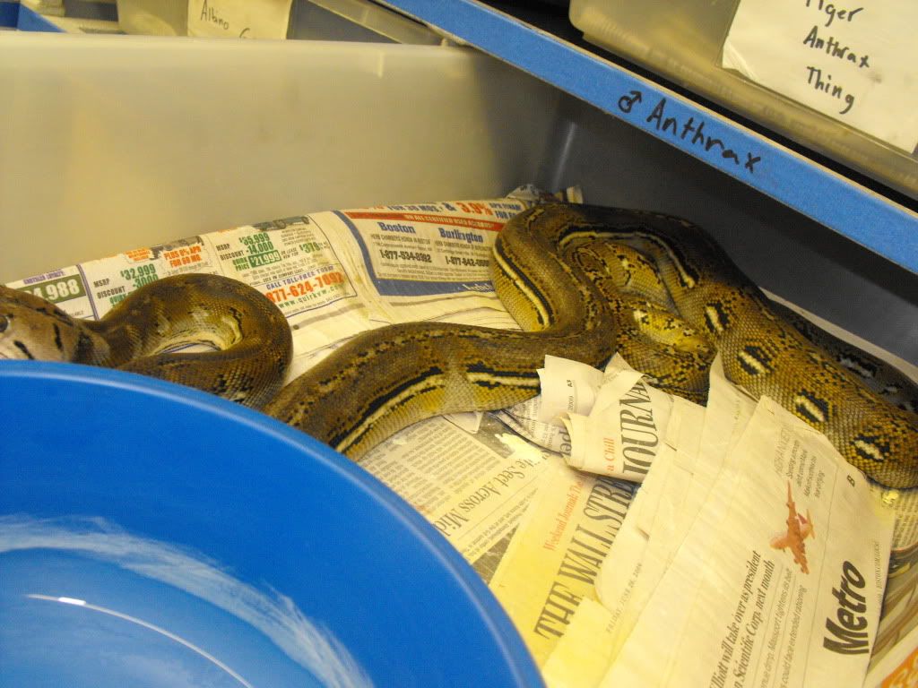 RETICS012.jpg