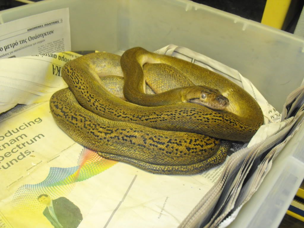 RETICS014.jpg