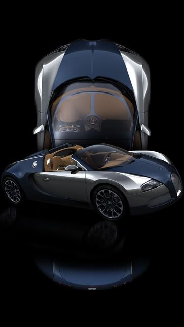 BugattiVeyronSangbleu1.jpg