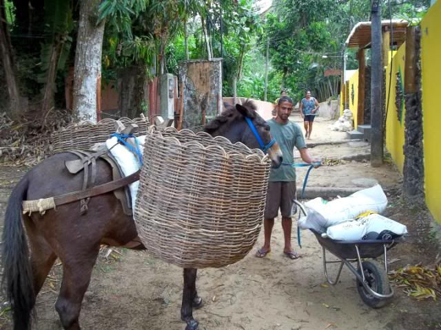 [Imagem: 201110GilbertovaiBahia191xBAIlhaTinharMo...oPaulo.jpg]