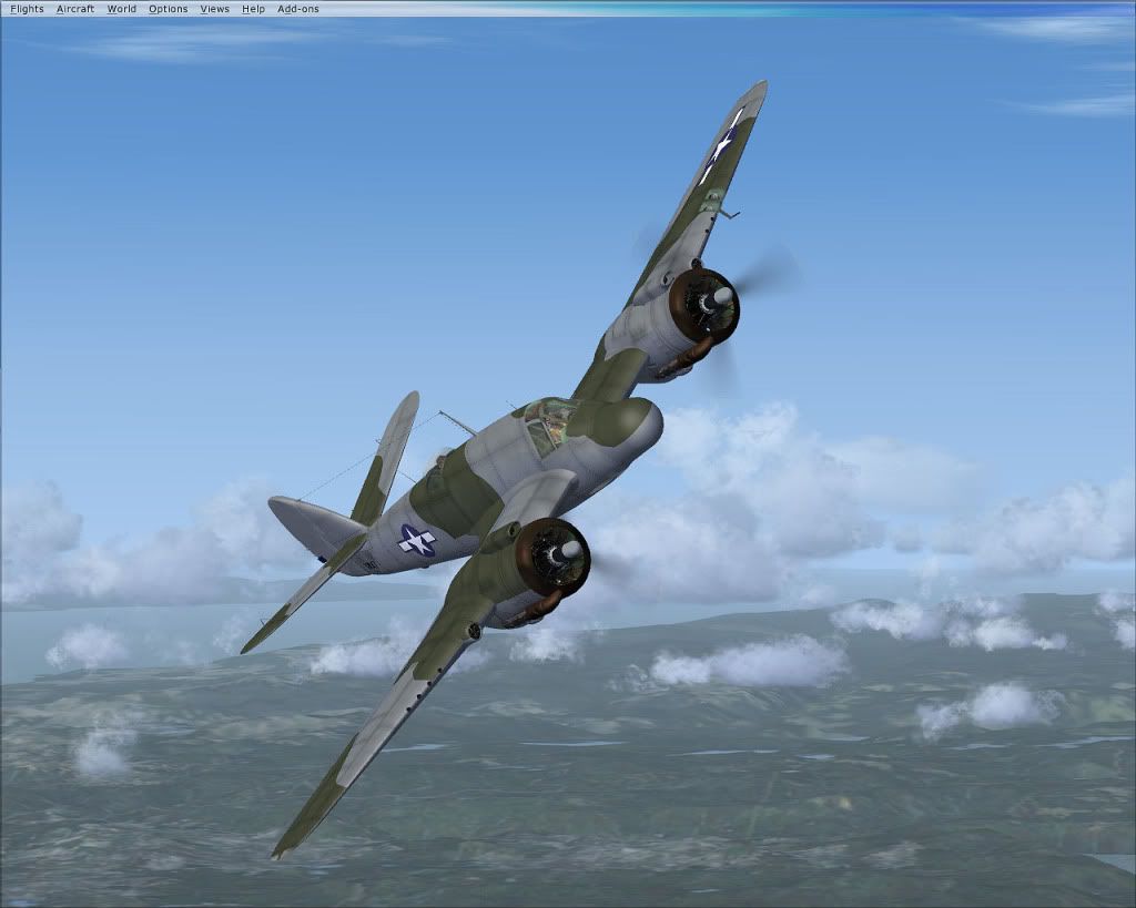 Beau01.jpg