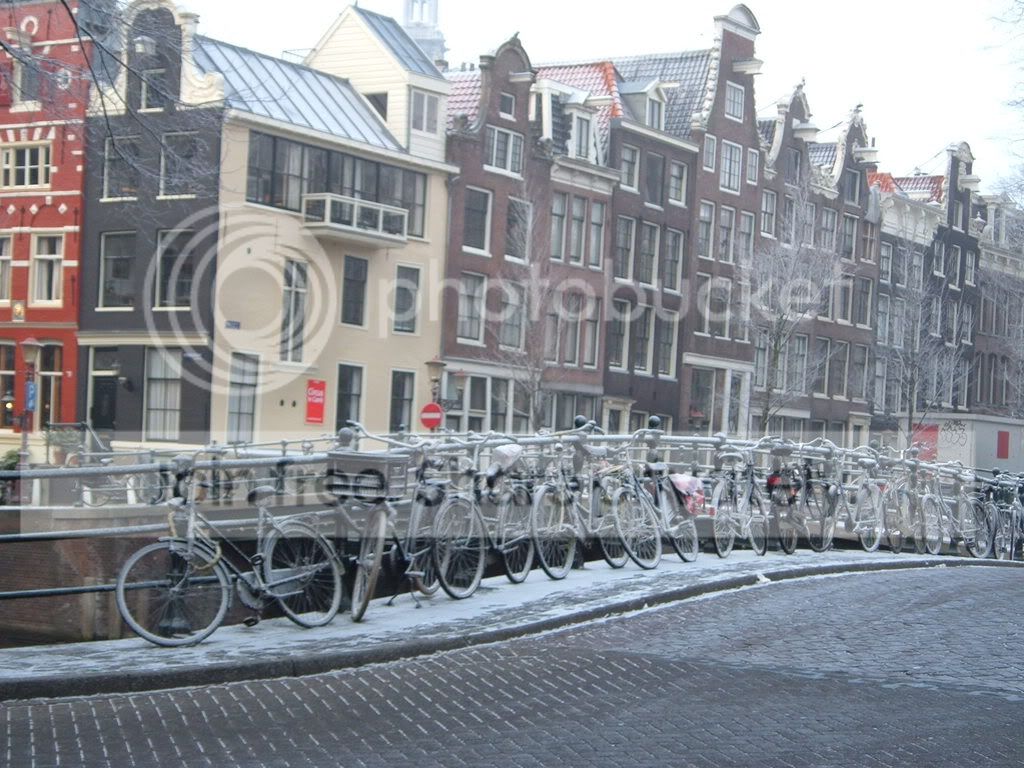 DSCF0621.jpg